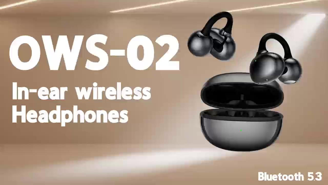 Otwo Electronics ows-02
